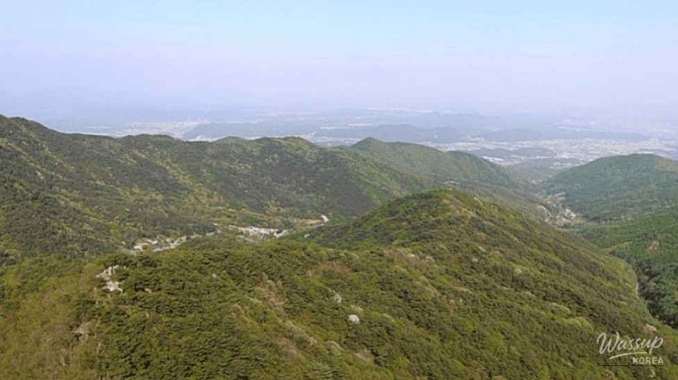 Discover the Hidden Gem of Palgong Mountain National Park_04