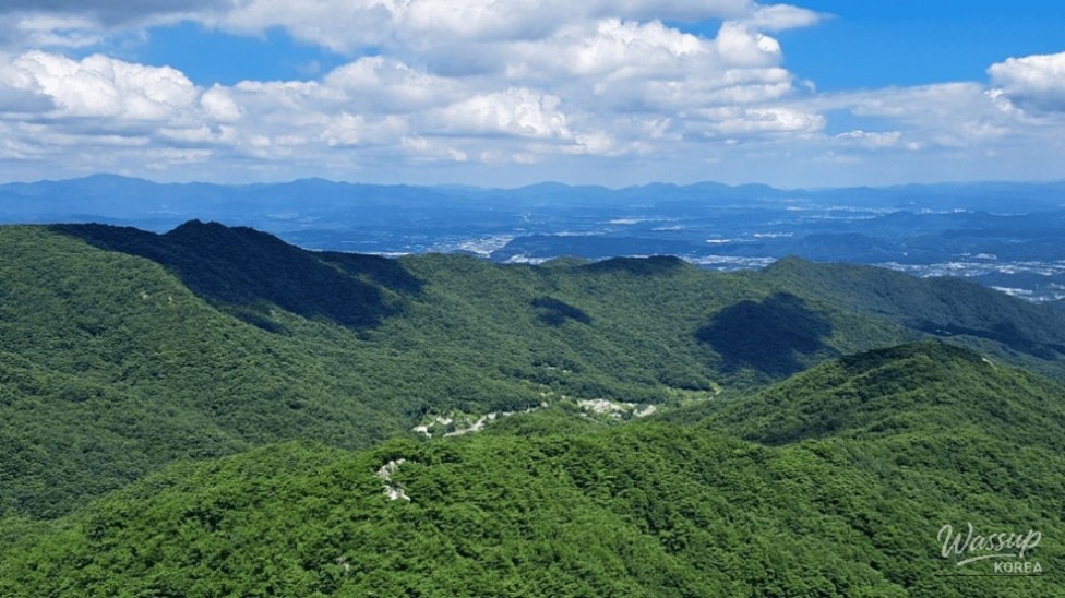 Discover the Hidden Gem of Palgong Mountain National Park_05