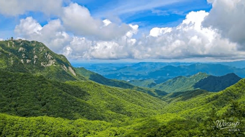 Discover the Hidden Gem of Palgong Mountain National Park_01