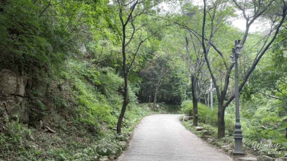 Discover the Hidden Gem of Palgong Mountain National Park_03