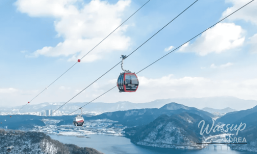 Discover the Enchanting Silver Birch Forest in Yeongyang_09