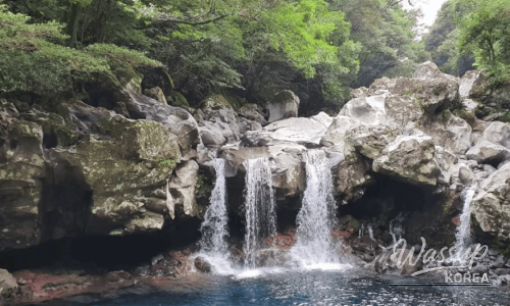 Discovering Suwon's Exotic Escape: Wolhwawon Garden_06