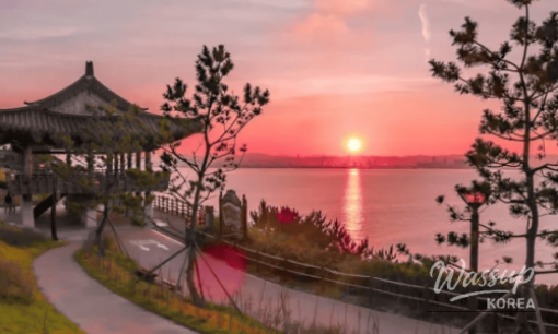 Discovering Suwon's Exotic Escape: Wolhwawon Garden_07