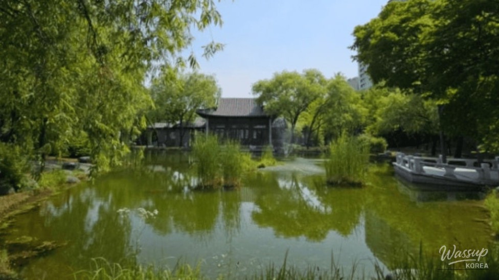 Discovering Suwon's Exotic Escape: Wolhwawon Garden_05