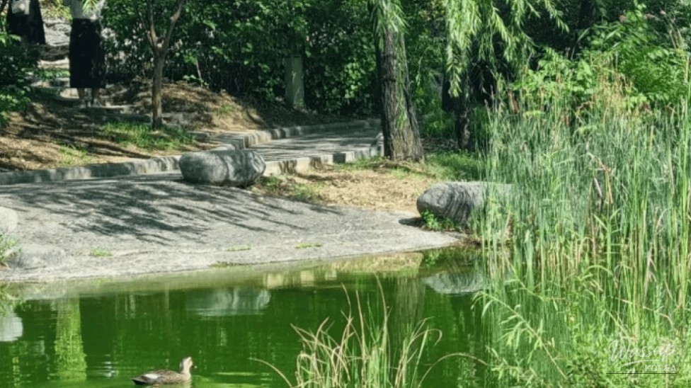 Discovering Suwon's Exotic Escape: Wolhwawon Garden_02