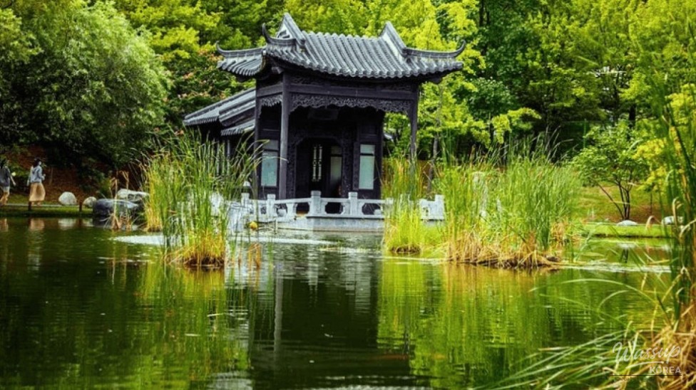 Discovering Suwon's Exotic Escape: Wolhwawon Garden_01