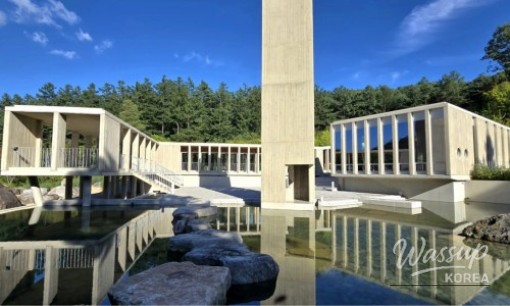 Discovering Suwon's Exotic Escape: Wolhwawon Garden_08