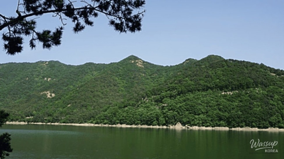 Discovering the Hidden Gem of Busan: Hae Dong Suwonji_02