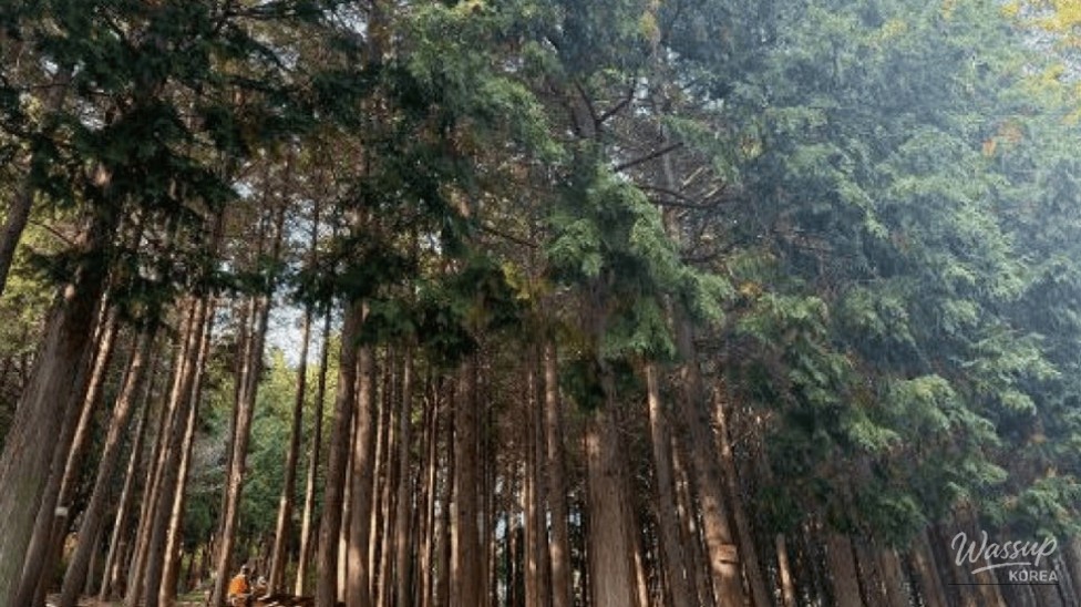 Discovering the Hidden Gem of Busan: Hae Dong Suwonji_04
