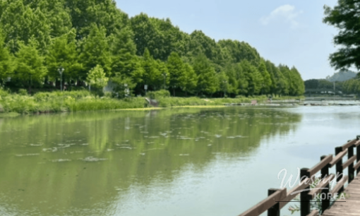 Discover the Cool Haven of Samcheok Hwanseongul Cave_06