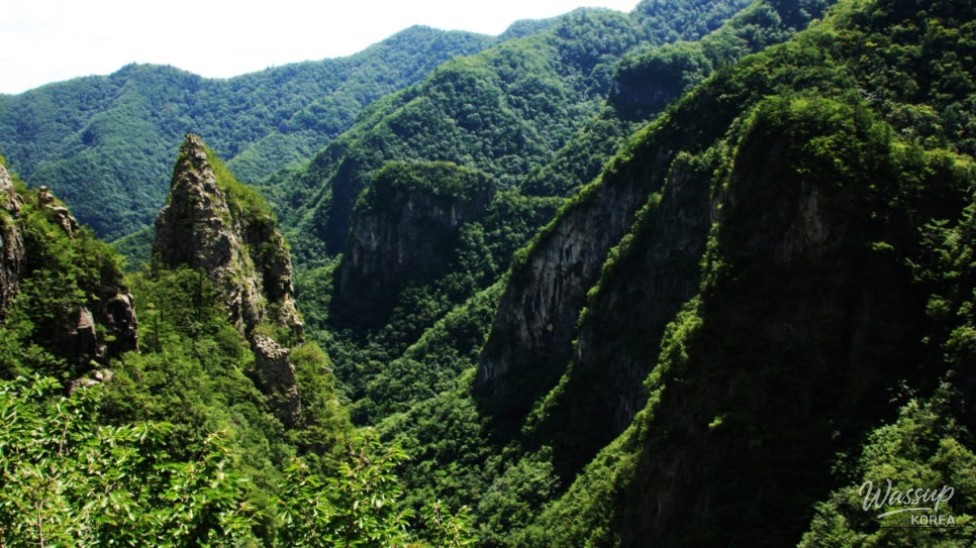 Discover the Cool Haven of Samcheok Hwanseongul Cave_05