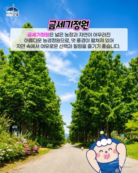 A Serene Day in Goheung's Beautiful Gardens_05