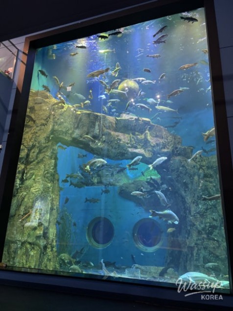 Exploring Indoor Attractions in Danyang_03