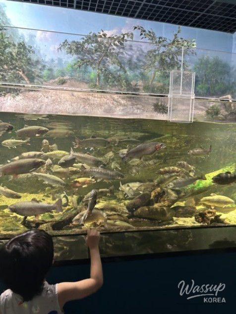 Exploring Indoor Attractions in Danyang_05