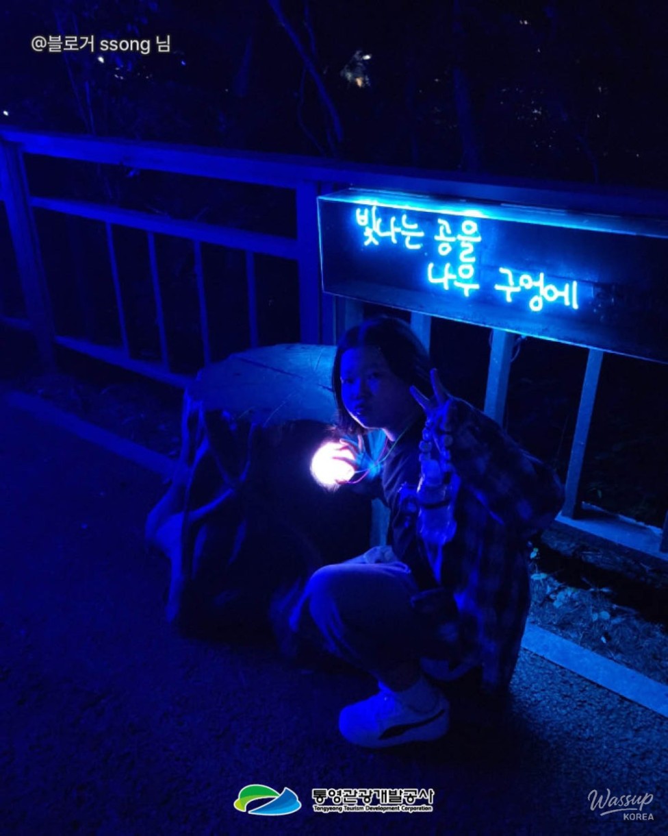Exploring Tongyeong: A Summer Night Adventure_09