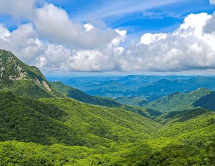 Discover the Hidden Gem of Palgong Mountain National Park float
