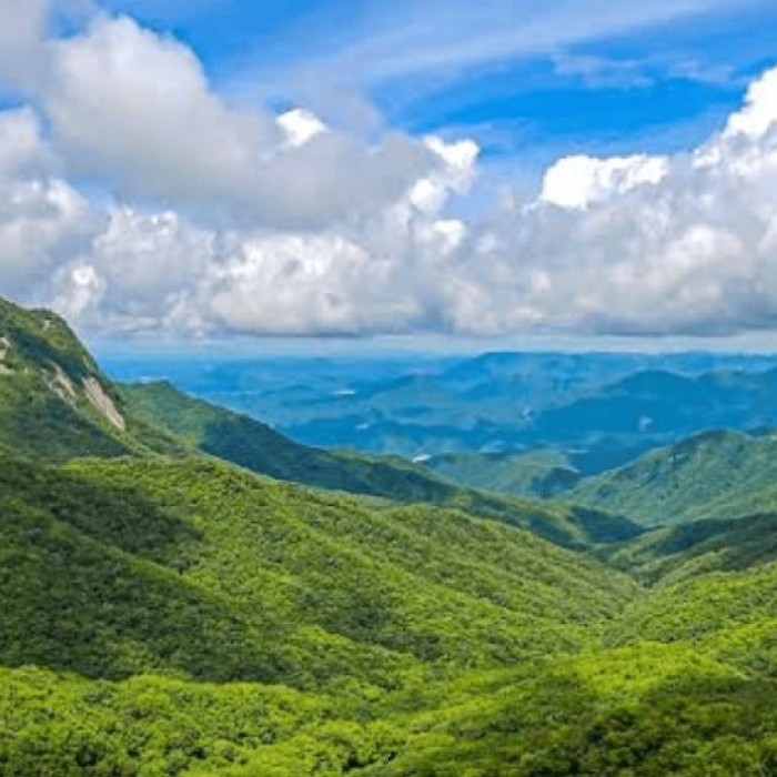 Discover the Hidden Gem of Palgong Mountain National Park4928