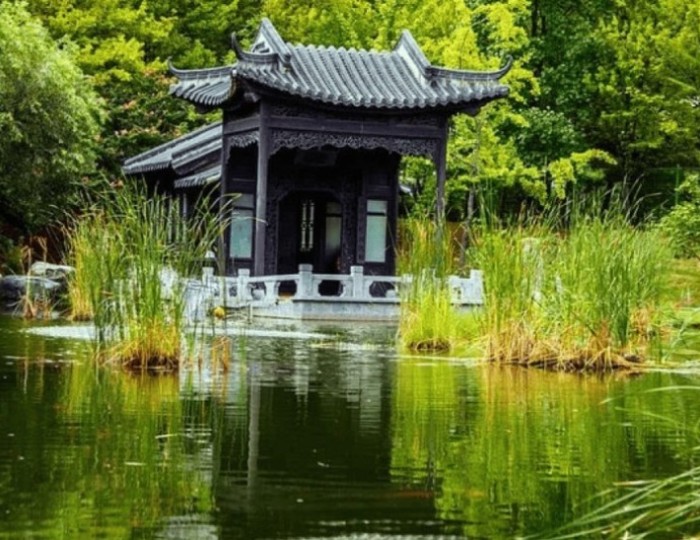 Discovering Suwon's Exotic Escape: Wolhwawon Garden float
