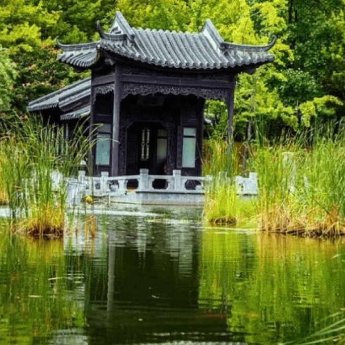 Discovering Suwon's Exotic Escape: Wolhwawon Garden4926