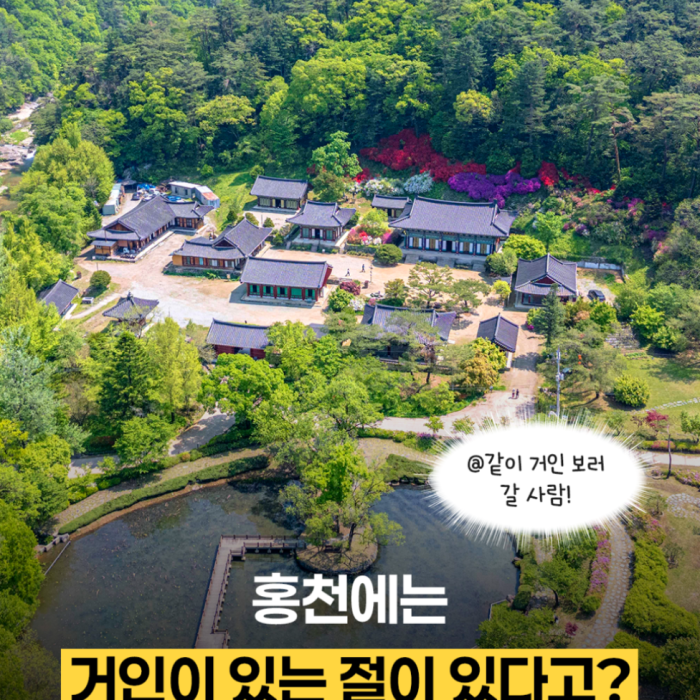 Exploring Sutasa Temple and the Natural Beauty of Gongjak Mountain4933