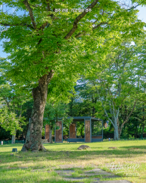 Discovering the Beauty of Tongiljeon in Summer_04