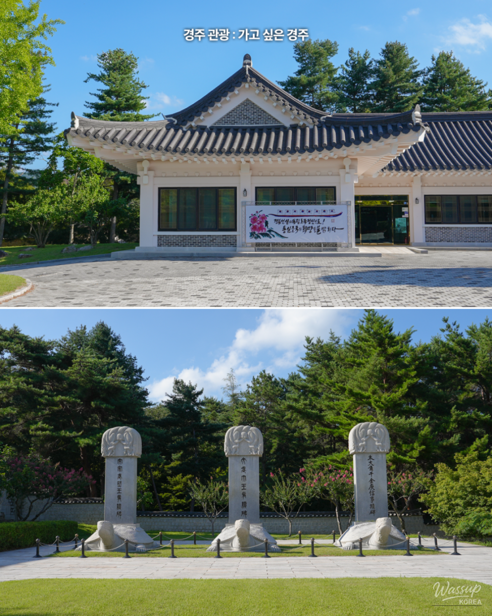 Discovering the Beauty of Tongiljeon in Summer_05