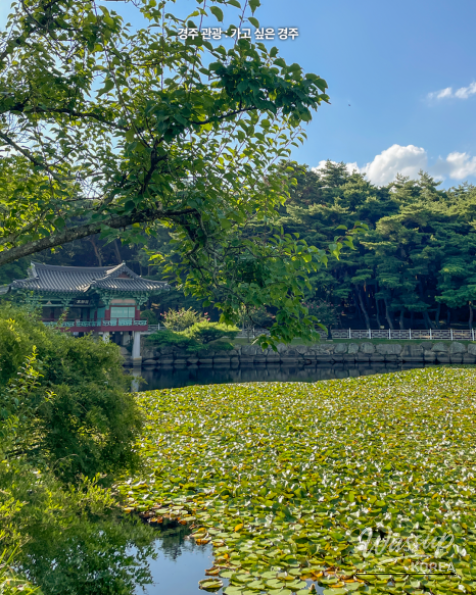 Discovering the Beauty of Tongiljeon in Summer_03
