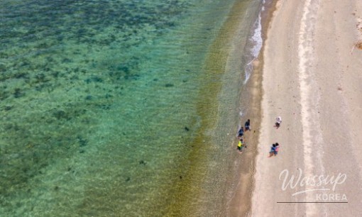 Discovering the Perfect Summer Retreat: Yongin Natural Recreation Forest_06