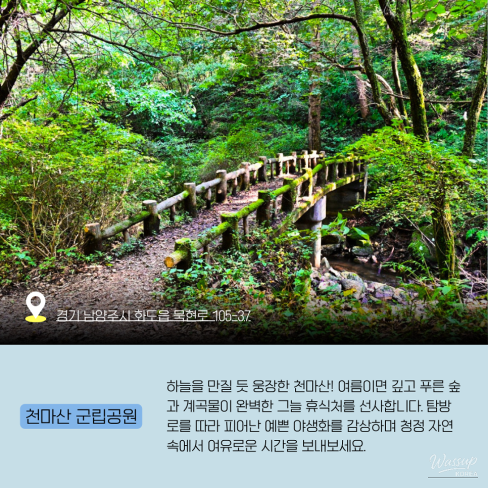 7 Recommended Natural Parks in Gyeonggi Province for a Refreshing Summer Getaway_06