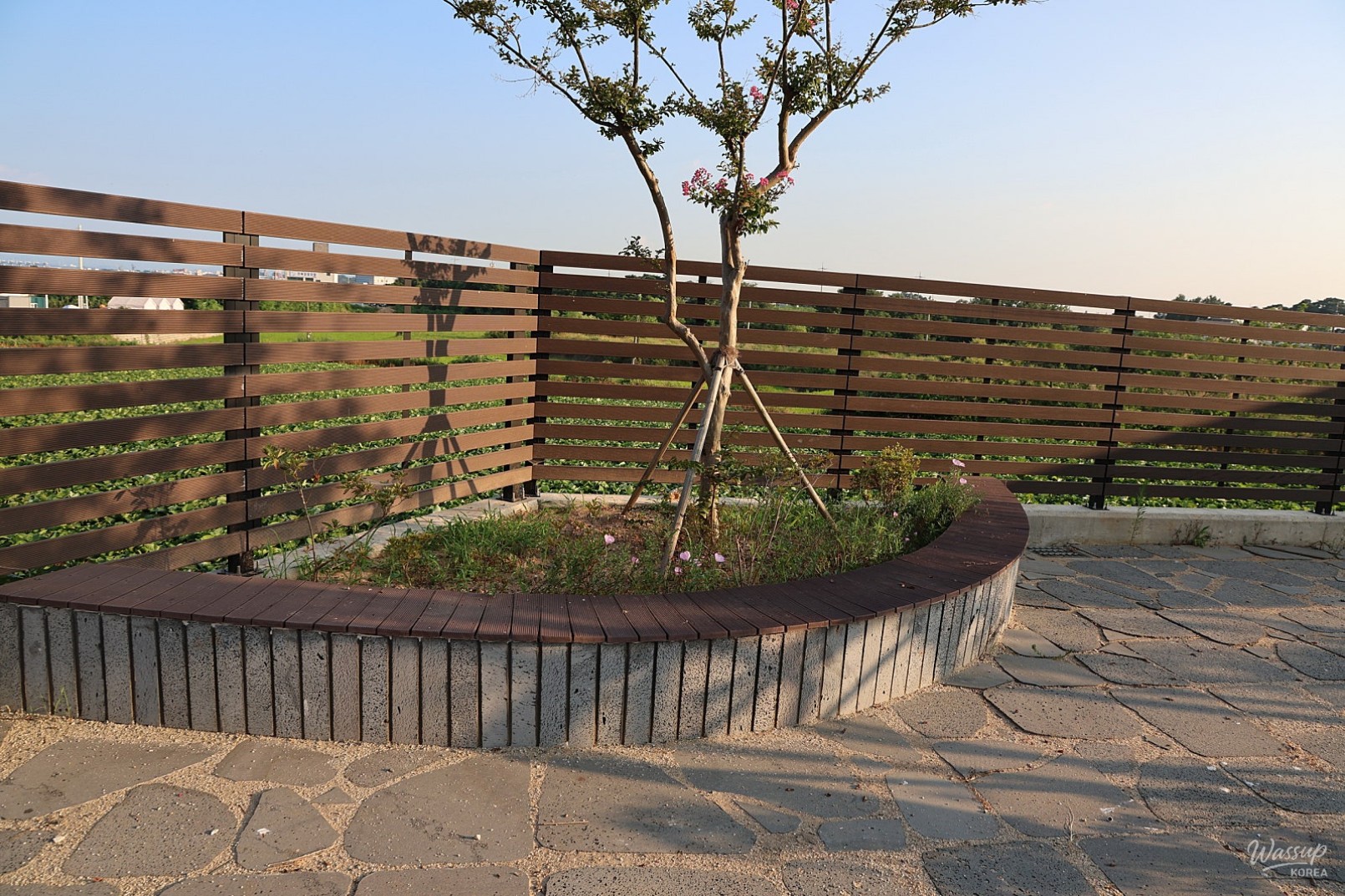 A Visit to Matdol Port: Embracing the Rhythm of Nature_03