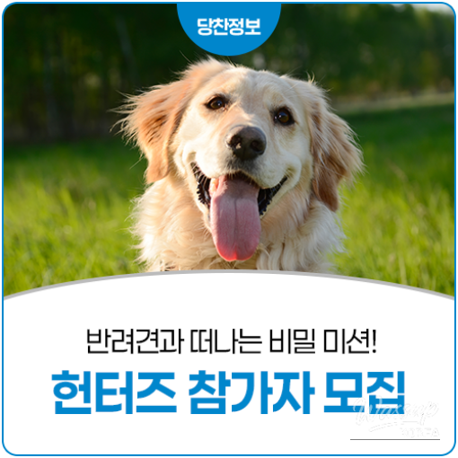 Join the Adventure: Secret Mission with Your Dog in Myeoncheon Fortress_05