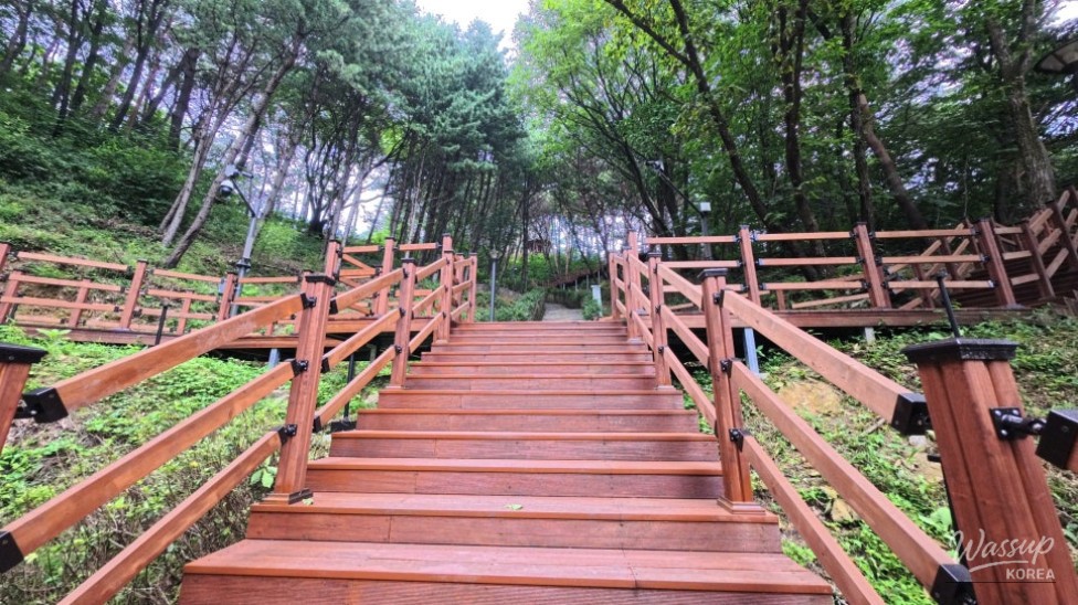 The Hidden Story of Parkdaljae: A Legendary Pass in Jecheon, Chungbuk_10