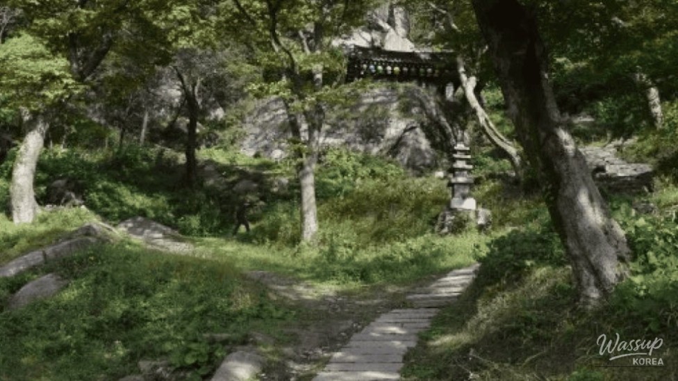 Exploring the Timeless Beauty of Beoseoksa Temple_01