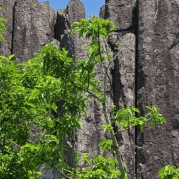 Exploring the Majestic Jusanji Cliffs of Mudeungsan4969