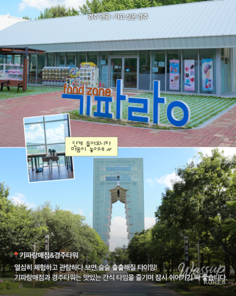 Explore Gyeongju Expo Park with Your Kids_06