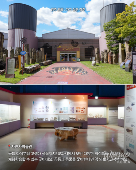Explore Gyeongju Expo Park with Your Kids_07