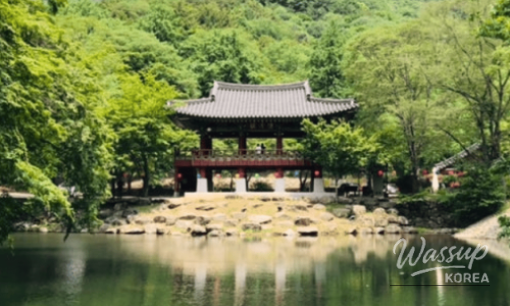 Top Trekking Spots in the Seoul Metropolitan Area for Summer_06