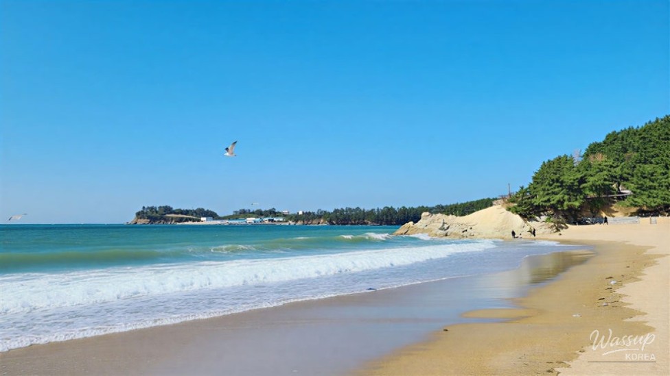 Explore the Beautiful Byeonsan Beach This Summer_04