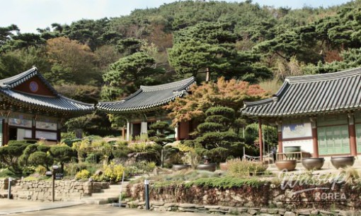 Discover the Namsan Korean Forest Garden: A Hidden Urban Oasis_06