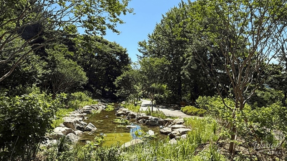 Discover the Namsan Korean Forest Garden: A Hidden Urban Oasis_04