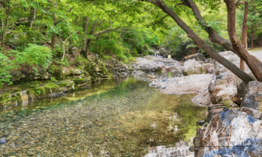 Discovering Jukdo Beach: A Hidden Gem for Summer Getaways_06