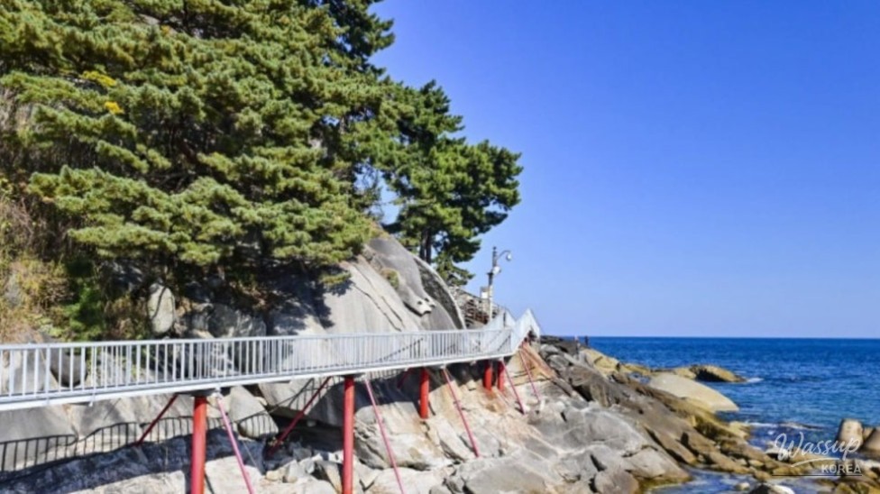Discovering Jukdo Beach: A Hidden Gem for Summer Getaways_05
