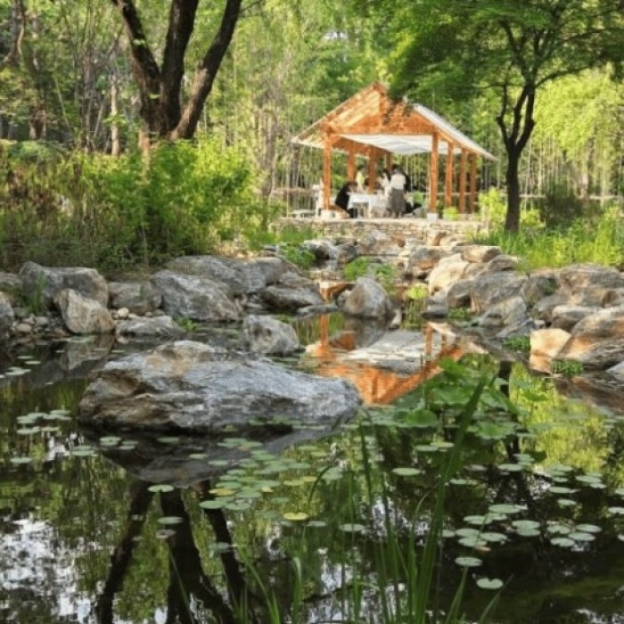 Discover the Namsan Korean Forest Garden: A Hidden Urban Oasis4978