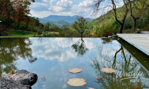 Discover the Unique Landscapes of Hwasun Unju Temple_07