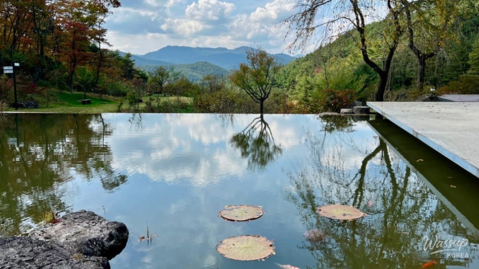 Discovering the Tranquil Beauty of Gunwi Sayuwon_01