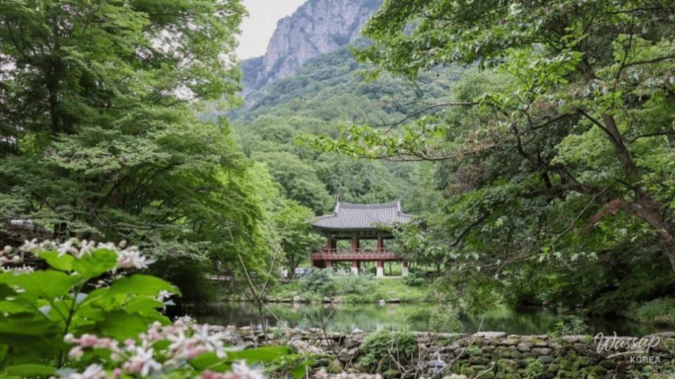 Exploring the Serenity of Jangseong Baegyangsa Temple_02