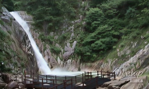 Exploring the Serenity of Jangseong Baegyangsa Temple_09