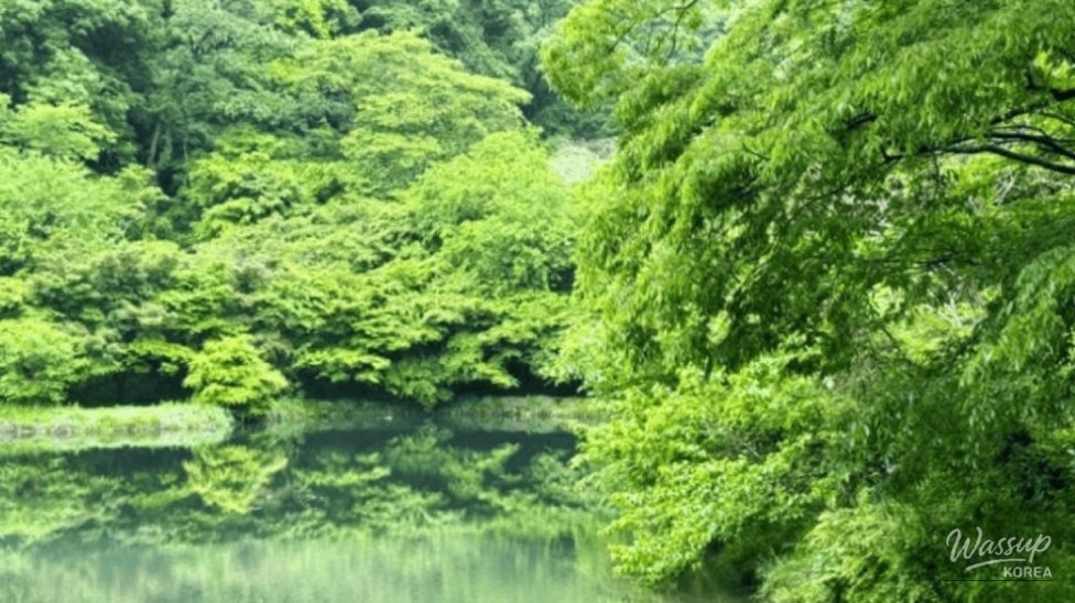 Exploring the Serenity of Jangseong Baegyangsa Temple_04