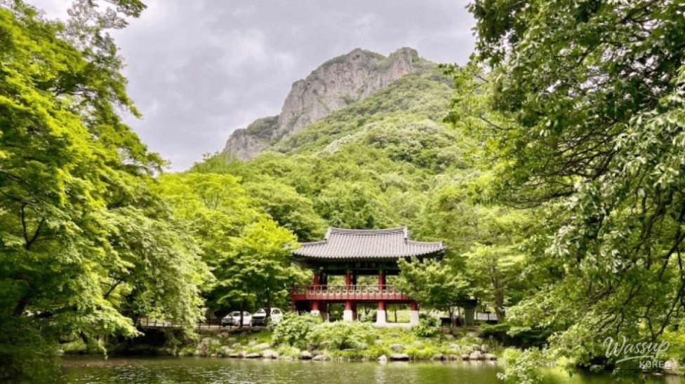 Exploring the Serenity of Jangseong Baegyangsa Temple_01
