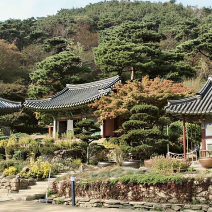 Discovering the Tranquil Beauty of Ganghwa Jeondeungsa Temple4980